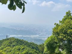 -梧桐山风景名胜区