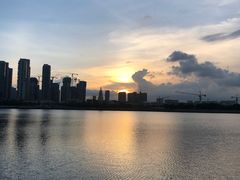 -五缘湾湿地公园