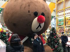 -line friends(明洞旗舰店)