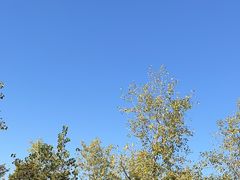 -宝荣鱼馆·临湖之宴(千岛湖店)