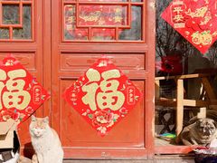 -杨柳青古镇