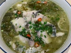 -汤去三面