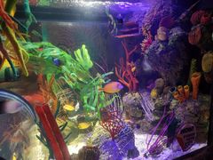 -沈阳海洋探索中心