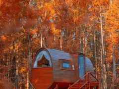 -黄海国家森林公园