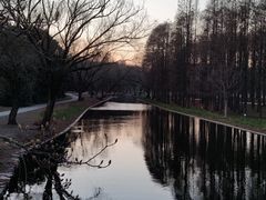 -上海共青森林公园