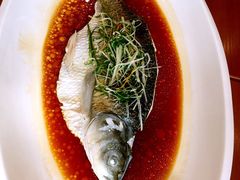 -頂好酒家·经典粤菜(海信广场店)