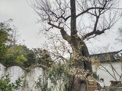 -拙政园