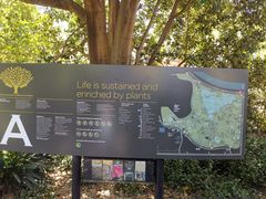 -墨尔本皇家植物园