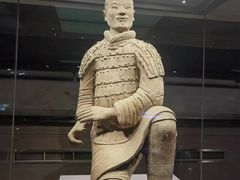 -秦始皇帝陵博物院(兵马俑)