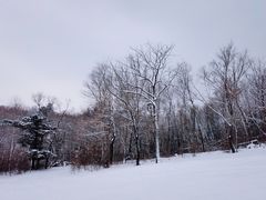 -亚布力新体委滑雪场