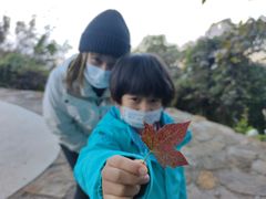 -广州市石门国家森林公园