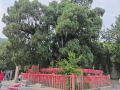 -四门塔风景区