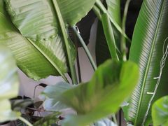 -About Bistro關於·泰式家庭料理