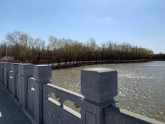 -塘沽森林公园