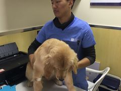 -宠颐生维康宠物医院(金丰店)