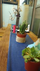 -酉嘉瑜伽YO+YOGA