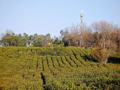 -南京市江宁方山
