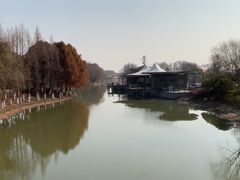 -江滩湿地公园