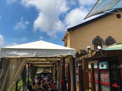 -大锅强·蒸海鲜青岛菜(吾悦广场店)