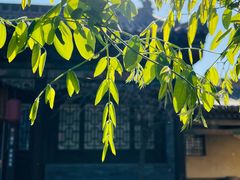 -梁思成纪念馆
