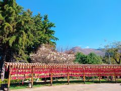 -南诏风情岛