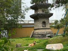 -龙华寺