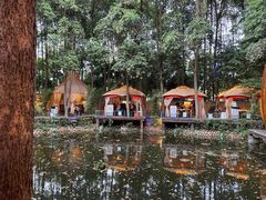 -二荆条·蜀鲜汇城市森林火锅