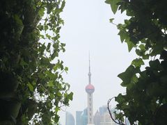 -顶层酒吧ROOF(上海艾迪逊酒店)