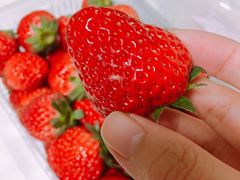 -鲜力达果品批发直销(青山店)