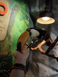 点击看大图 -Zoolung Zoolung动物主题公园(海信广场店)