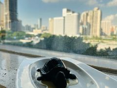 -广州建国酒店-盈丰阁粤菜-粤式茶点
