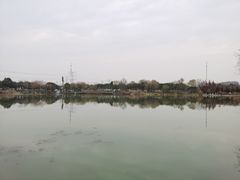 -九里河湿地公园