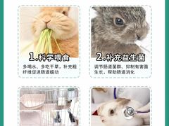 -守诺宠物医院·眼科· 特色牙科·异宠专科(虹口店)