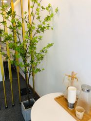 -Doris多里斯半永久纹眉·SMP纹发·发际线