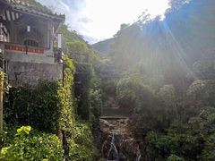 -南海湾森林生态园