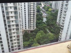 -新湖明珠城