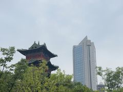 -迎泽公园