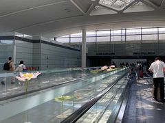 -杭州萧山国际机场