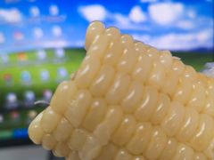 -许记生煎(遵义路店)