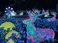 -合肥融创乐园