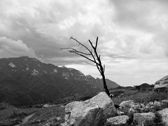 -秦岭风景区