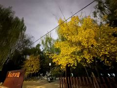 -南长河公园