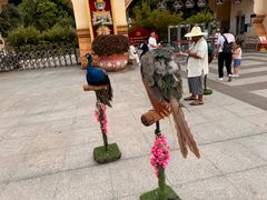 -西双版纳勐泐文化旅游区