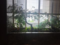 -海立阁海鲜江浙菜(漕河泾印象城店)