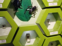 -萌宠奇缘(荣鼎店)