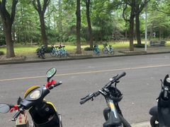 -华东政法大学(松江校区)