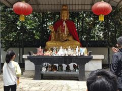 -上海佘山国家森林公园天马山园