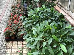 -上海外国语大学(虹口校区)