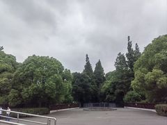 -上海滨江森林公园