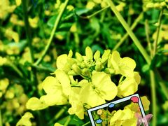 -白鹭湾湿地公园